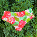 Monokini / culotte Letchis
